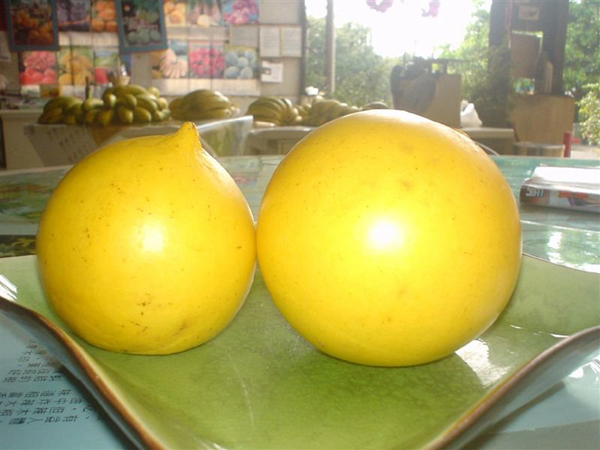 20ֲܺóԵĹˮ޽ǹϾǳԻ׷--