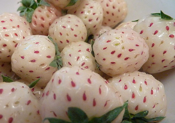 20ֲܺóԵĹˮ޽ǹϾǳԻ׷--
